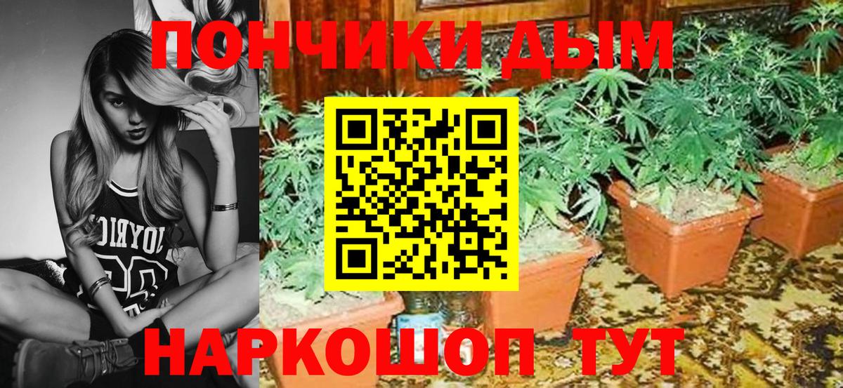 Гашиш Сунжа